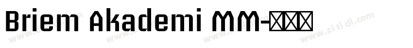 Briem Akademi MM字体转换 Briem Akademi MM字体转换